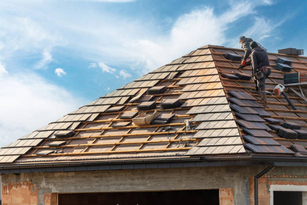 Best Skylight Installation and Repair  in Mason City, IL